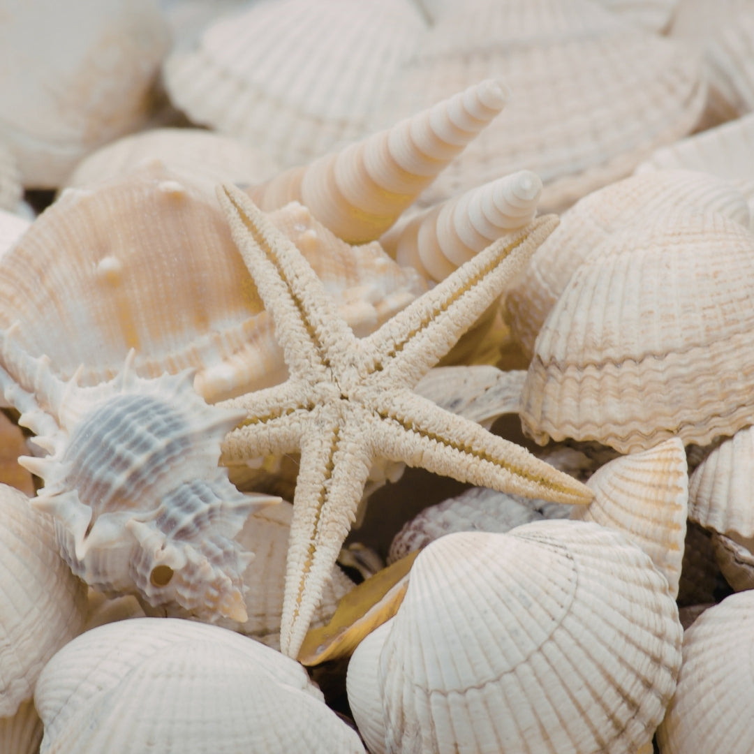 Inspired by the Coast: How Nature Shapes Each Piece