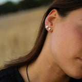 Salcombe Seashells Stud Earrings