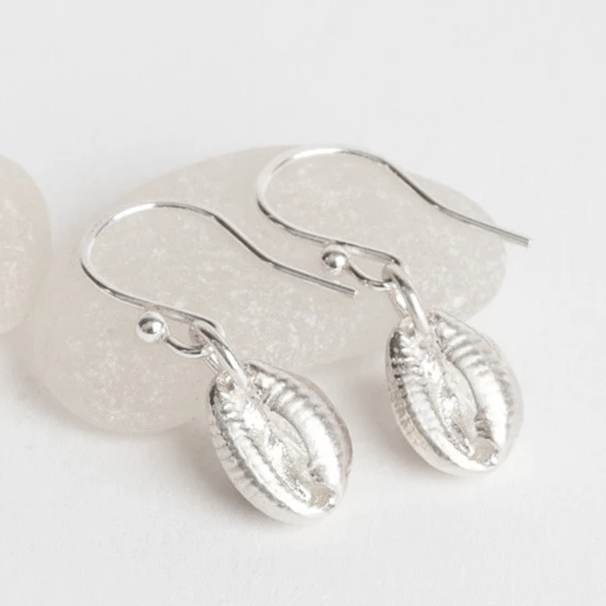 Silver cowrie shell dangle earrings on a white grey pebble background