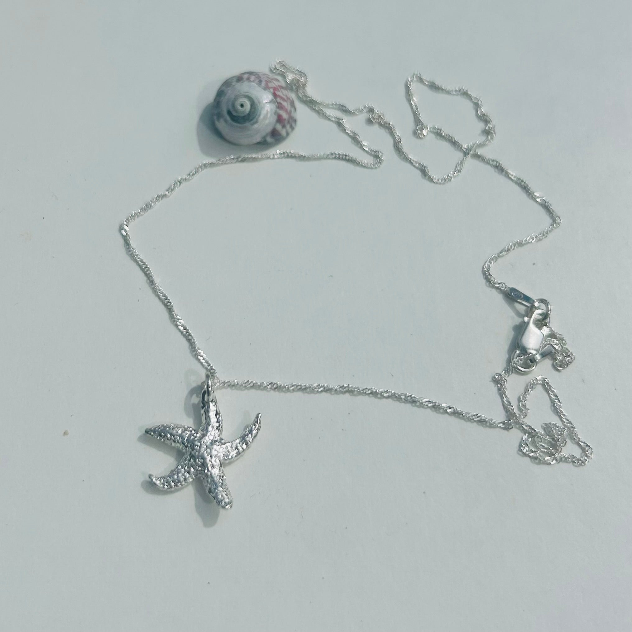 Textured Torcross Starfish Pendant Necklace (Twisted Curb Chain)