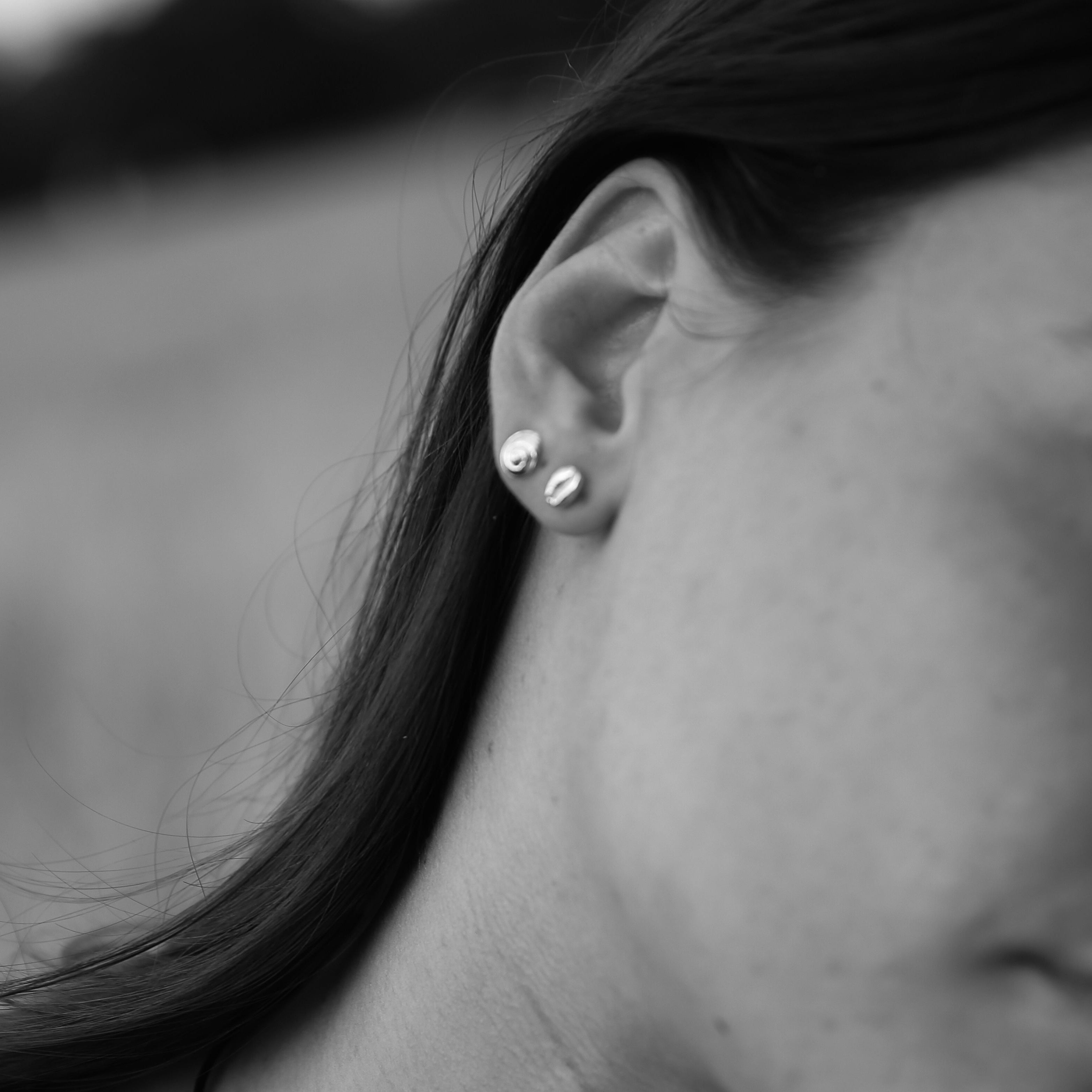 Small Salcombe Sea Shell Stud Earrings
