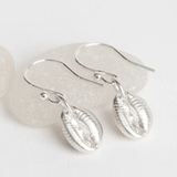 Silver cowrie shell dangle earrings on a white grey pebble background