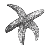Classic Torcross Starfish Pendant Necklace (Oxidised Chain)