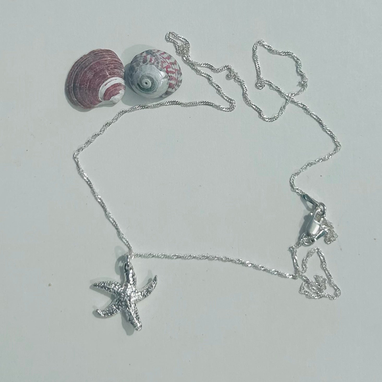 Textured Torcross Starfish Pendant Necklace (Twisted Curb Chain)