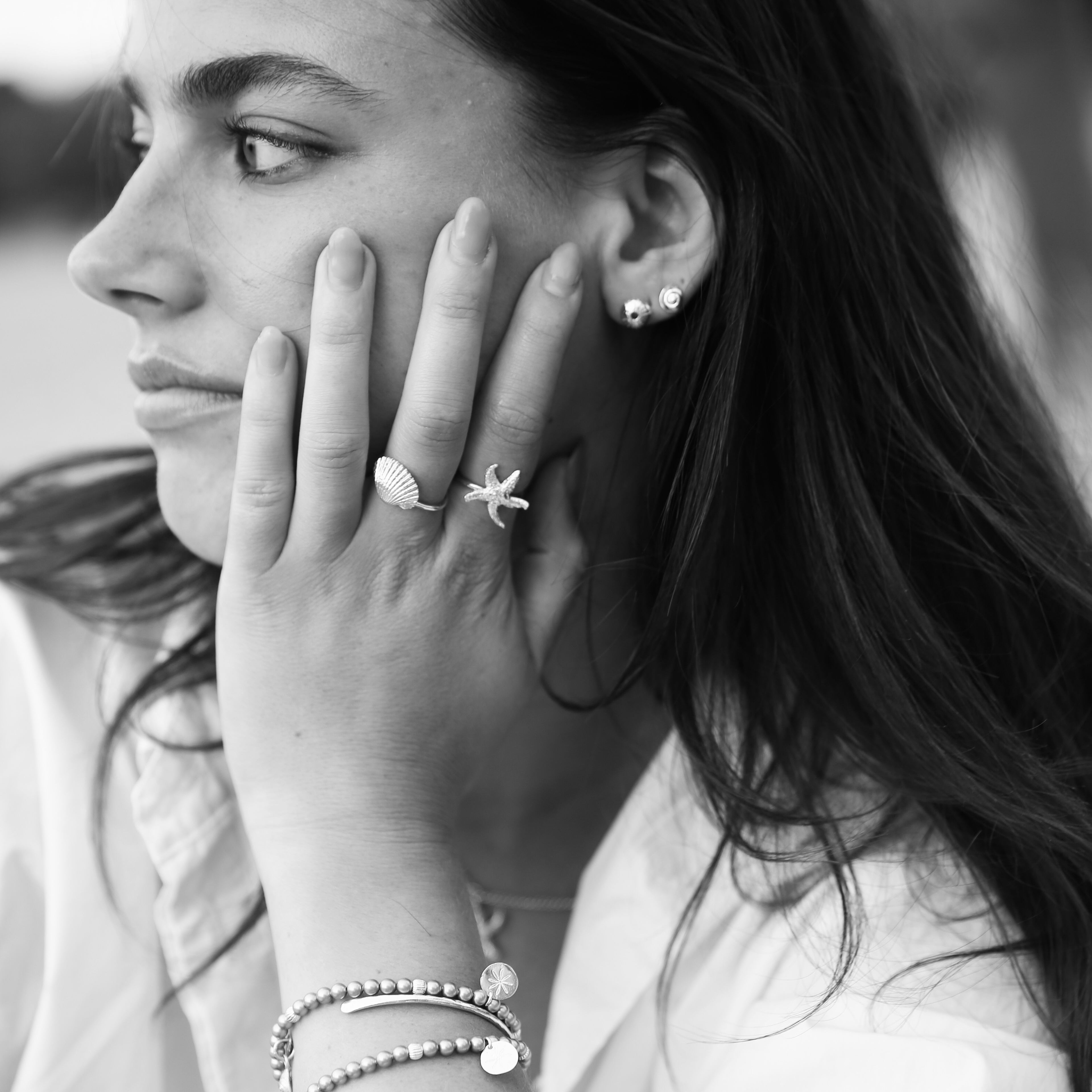 Small Salcombe Sea Shell Stud Earrings