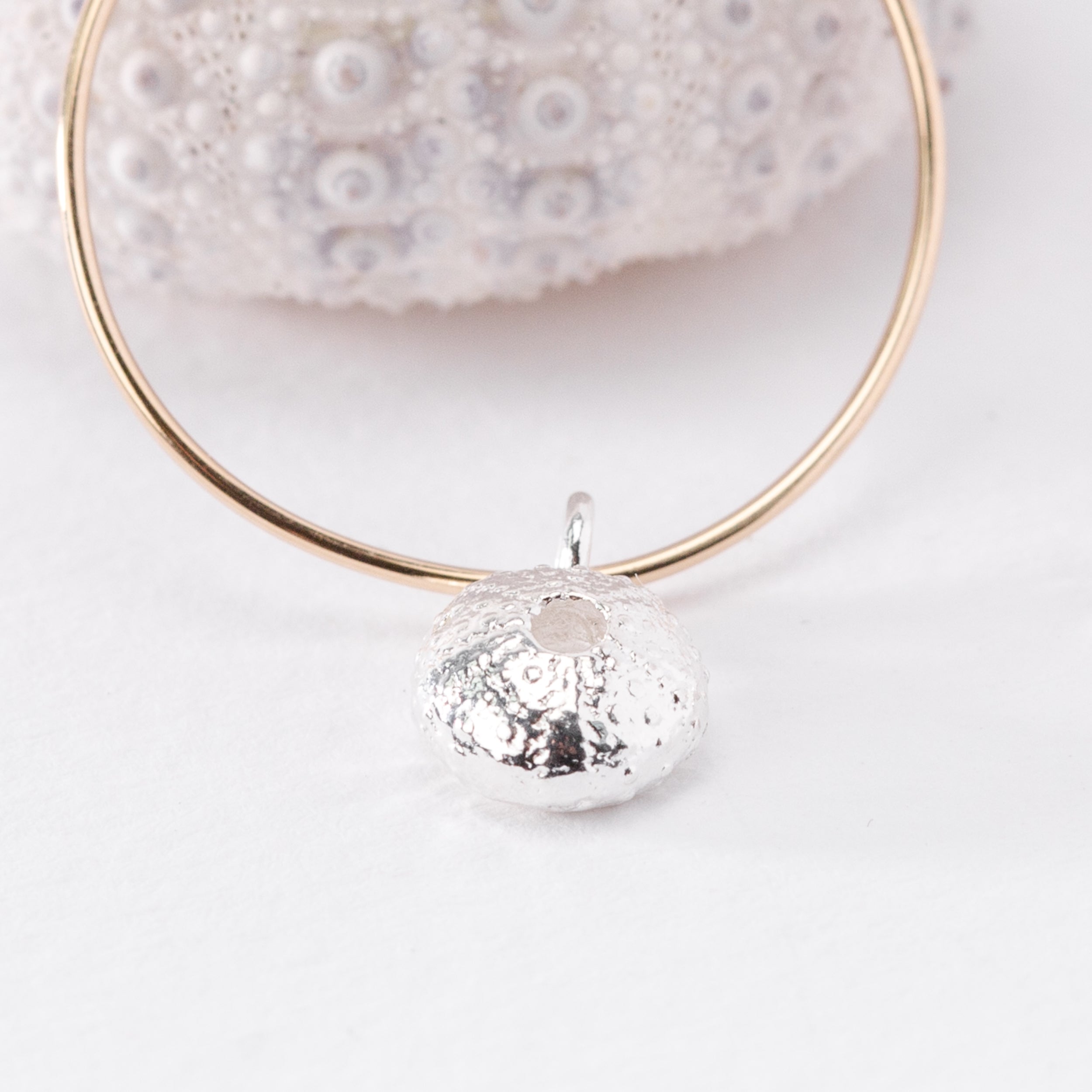 Small Salcombe Sea Shell Hoop Earrings (Gold)