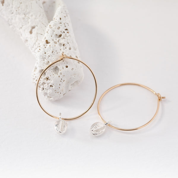 Gold Hoop Earrings with Salcombe Sea Shell