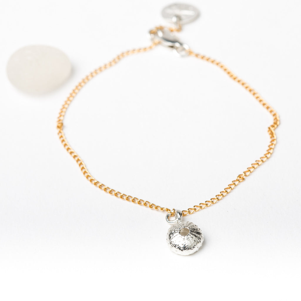 Salcombe Sea Shells on Fine Chain Bracelet