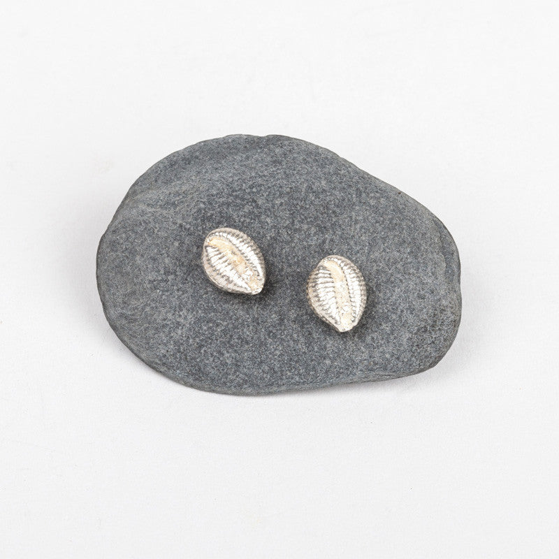 Small Cowrie Shell Stud Earrings