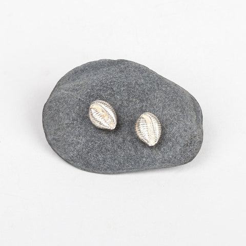 Small Cowrie Shell Stud Earrings